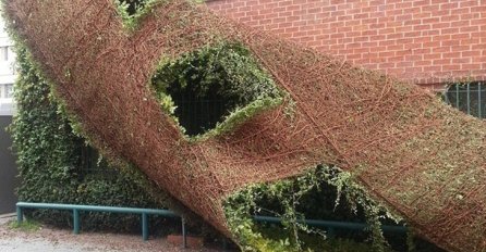 ZBOG OVIH SLIKA LJUDI VRIŠTE OD MUKE: Ovo nije PHOTOSHOP, ZAISTA SE DESILO, broj 3. će vas ŠOKIRATI