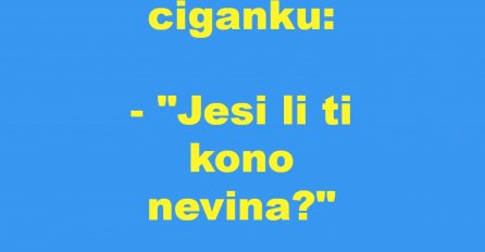 VIC: Komšija pita Ciganku