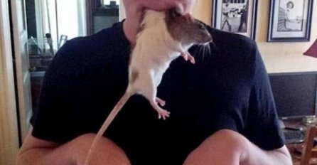 OVO JE BOLESNO, LJUDI SU POSTALI ODVRATNI: Kada vidite sliku broj 9. ŽIVOT ĆE VAM SE ZGADITI!