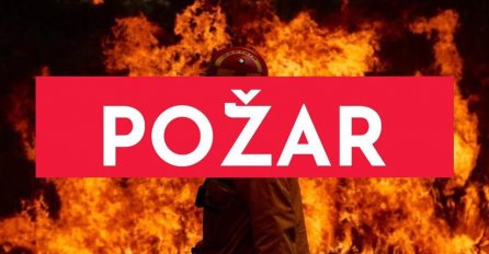KULJA GUSTI DIM, VATRA SE PRIBLIŽILA KUĆAMA, NAROD SPAŠAVA ŽIVU GLAVU: Vatrogasci izašli na teren