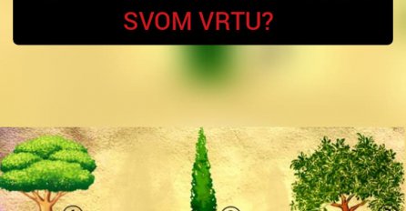 KOJE DRVO BISTE POSADILI U SVOM VRTU? Odgovor otkriva nešto bitno o vama, A POSEBNO DRVO BROJ 5.
