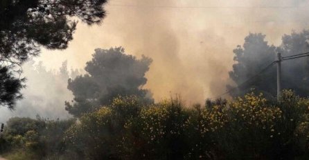 “VIDJELA SAM CRNI GUSTI DIM I ISTRČALA”, GORI VATRA BLIZU KUĆA: Vatrogasci nastoje staviti BUKTINJU POD KONTROLU!