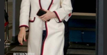 DANAS JE SUĐENJE CECE I KARLEUŠE- HAOS, TUČA I LUDILO:  Ceca izaša sa maskom preko LICA, svi se pitaju šta se desilo?! (FOTO)