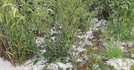 NEZAPAMĆENO NEVRIJEME, NJIVE POD VODOM: Dvorišta se bijele, POGLEDAJTE SLIKE KOJE DOLAZE IZ SRBIJE (FOTO)