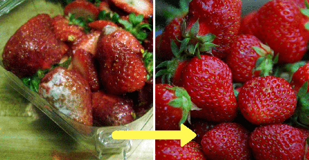 GENIJALNO: Pogledajte TRIK s kojim svježe jagode neće početi truliti U FRIŽIDERU 24 SATA NAKON KUPOVINE