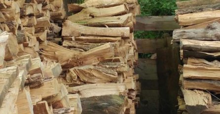 SVI DIJELE SLIKU NACIJEPANIH DRVA: Pogledajte pažljivo, VIDITE LI DETALJ KOJI BODE OČI?