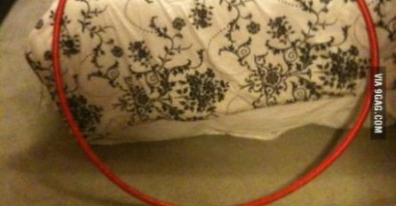 LJUDI 5 MINUTA GLEDAJU U OVU SLIKU I NE MOGU DA SKONTAJU : Šta je čudno ovdje, VIDITE LI VI?