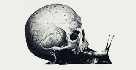 Prvo što vidite na ovoj slici otkriva ključnu karakteristiku vaše ličnosti: PUŽ, MAPA ILI LOBANJA?