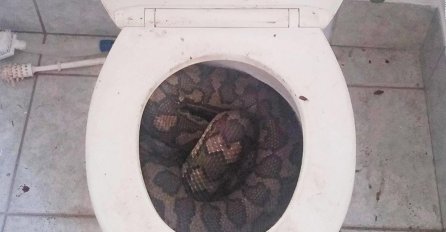 OVO SU PRIZORI KOJE NIKO NE ŽELI VIDJETI: Ako mislite da ne može gore, ČEKAJTE DOK VIDITE SLIKU BROJ 4!