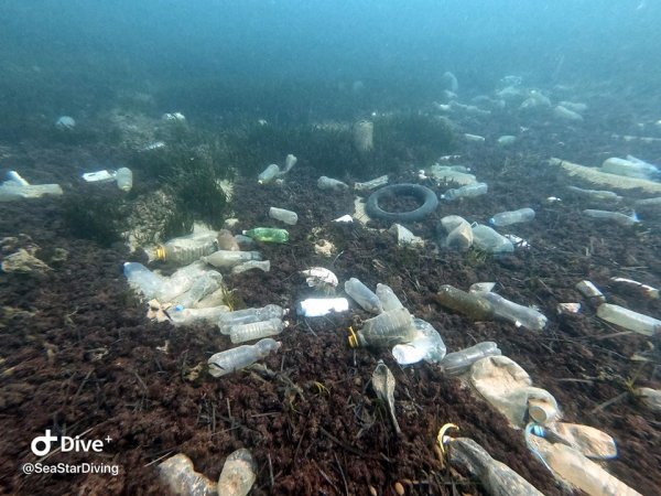 b5bf1bc6-214c-4384-a662-63063d7993fb