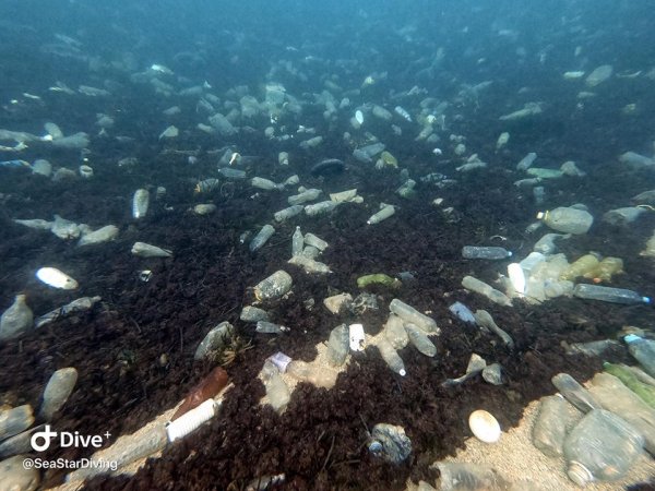 96246774-ed64-4a45-bf4c-651f6eeb1436