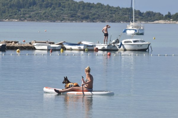 b635a7e3-83fd-4d41-8c86-90a25f495a61