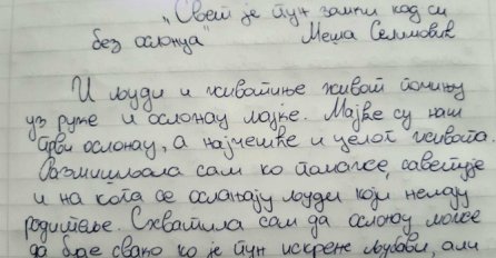 CIJELA SRBIJA PRIČA O SASTAVU DJEVOJČICE: Kad vidite šta je napisala SVE ĆE VAM SE SAMO KAZATI!
