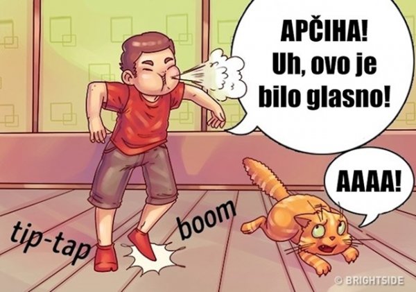 96677cef-3a00-4cad-9ba9-41cccd6e9691