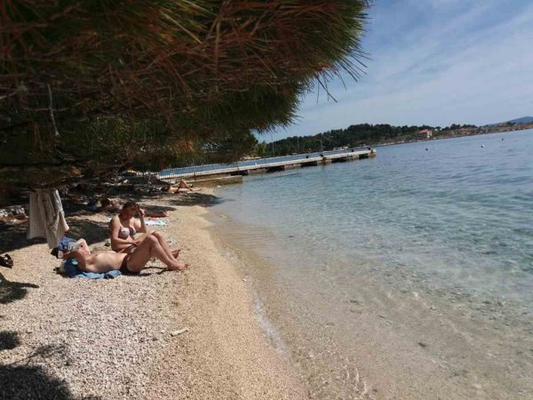 81957375-689534065174082-8320452005172532885-n