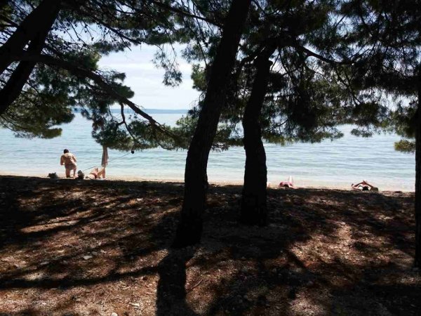 104412440-269647501050490-8533758565606581770-n