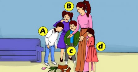 DOBRO POGLEDAJTE, KOJE DIJETE JE RAZBILO VAZU: Mnogi muku muče, a ODGOVOR VAM JE PRED OČIMA!