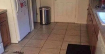 VIDITE LI PSA NA OVOJ SLICI? Fotka koja je izludjela svijet, NIKO NE MOŽE DA GA NAĐE, MOŽETE LI VI?