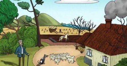 OVA SLIKA IMA ČAK 26 GREŠAKA! AKO IH UOČITE BAREM 10 VI STE GENIJE: Vidite li šta je pogrešno?