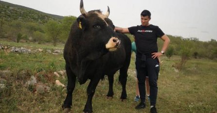 BIK IZ HRVATSKE HIT NA INTERNETU: Evo kako se ZOVE, smijat ćete se danima!