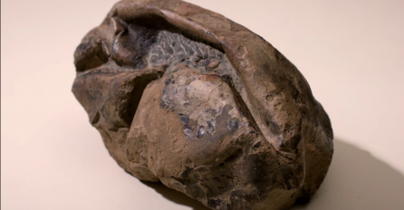 Naučnici su pronašli DŽINOVSKO JAJE NA ANTARKTIKU: Ako se ikada izlegne svijet ČEKA ČUDO