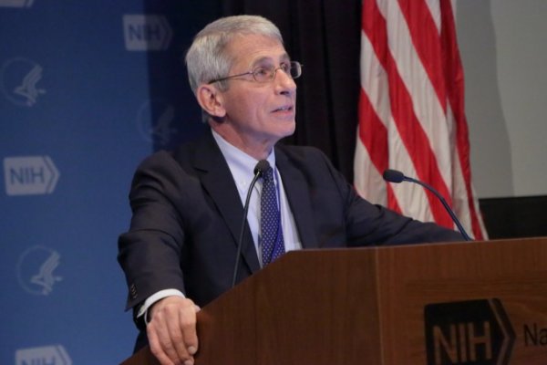 Fauci: Uznemirujući porast koronavirusnih infekcija u SAD-u | Novi.ba