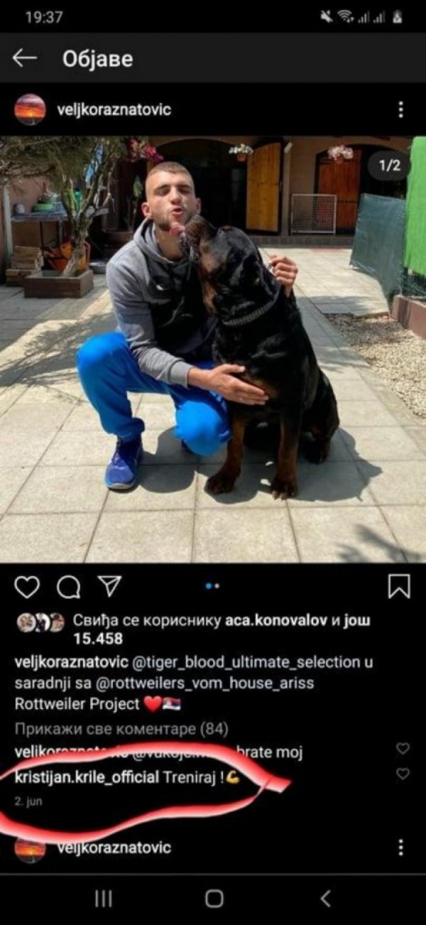 351372-781501-veljica-ff-iff