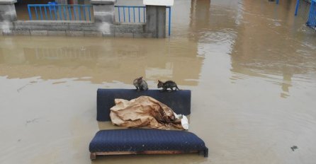 POPLAVLJENO JE 500 KUĆA, EVAKUISANI LJUDI ZATEKLI JEZIV PRIZOR: U kućama lopate blata, strahuju od zaraze