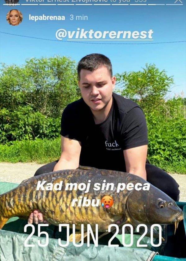 105986794-285064335946153-1426169828454440442-n