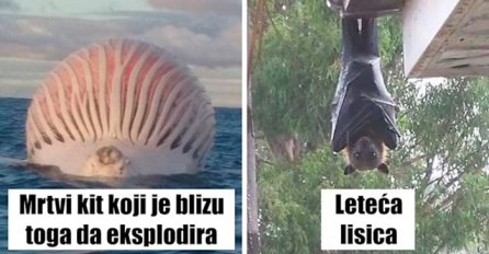 18 opasnih fotografija iz Australije, KO BI SMIO ŽIVJETI? Kad vidite broj 3 SRUŠIT ĆETE SE