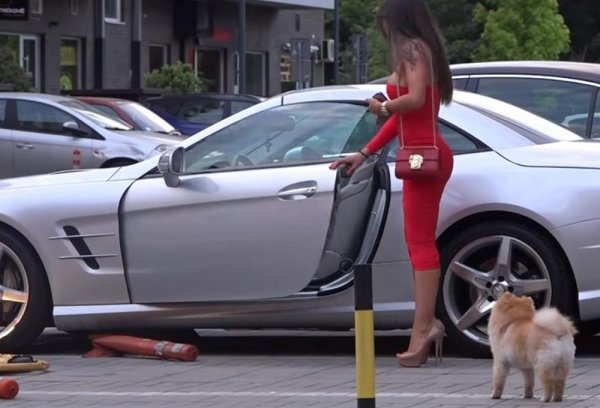 2261553-screenshot-13-ff