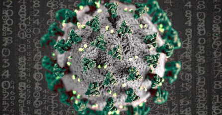 NOVI VAL VIRUSA ZAHVATA MLADE: Evo i jasnih dokaza 