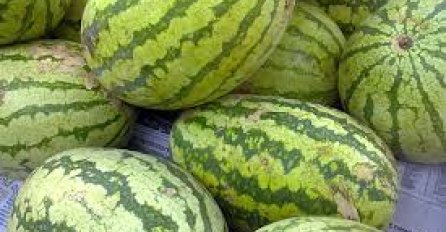 KADA PROČITATE OVAJ SAVJET - više vam neće pasti na pamet da bacate KORU od lubenice 