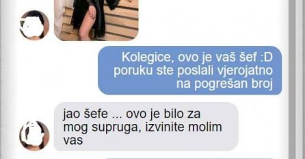 UMJESTO SUPRUGU SLUČAJNO SAM ŠEFU POSLALA PORUKU: Ponudio mi je povišicu ako mu pošaljem cijelu sliku, KAD SAM MU POSLALA USLIJEDIO JE PAKAO ZA MENE