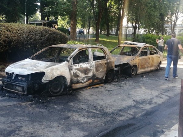 106799387-561927414481748-2340014972251083820-n