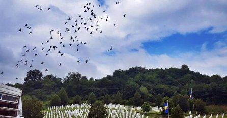 Memorijalni let golubova od Srebrenice do Sarajeva, više od 600 pismonoša