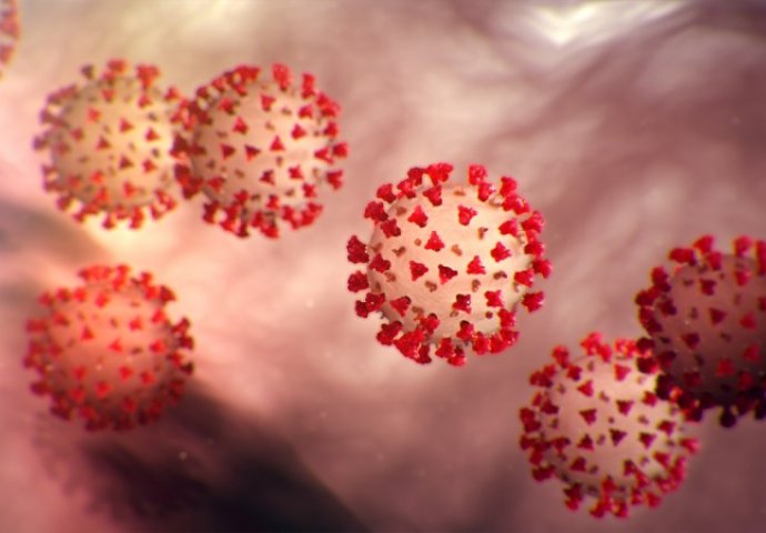 U HNK 22 slučaja korona virusa u proteklom danu