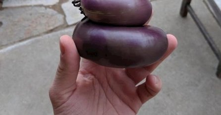 OTIŠLA U BAŠTU I OVO IZVADILA! NE, NIJE PHOTOSHOP: Kad vidite sliku broj 5. NEĆE VAM BITI DOBRO, ŠTA JE OVO?