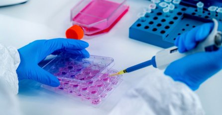 I Hercegovačko-neretvanski kanton bilježi veliki porast zaraženih koronavirusom