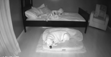 RODITELJI POSTAVILI KAMERU  U SOBI SVOG SINA NAKON ŠTO SU GA VIDJELI DA SPAVA VAN KREVETIĆA: Evo šta dječak (2) radi svake noći, NISU MOGLI VJEROVATI