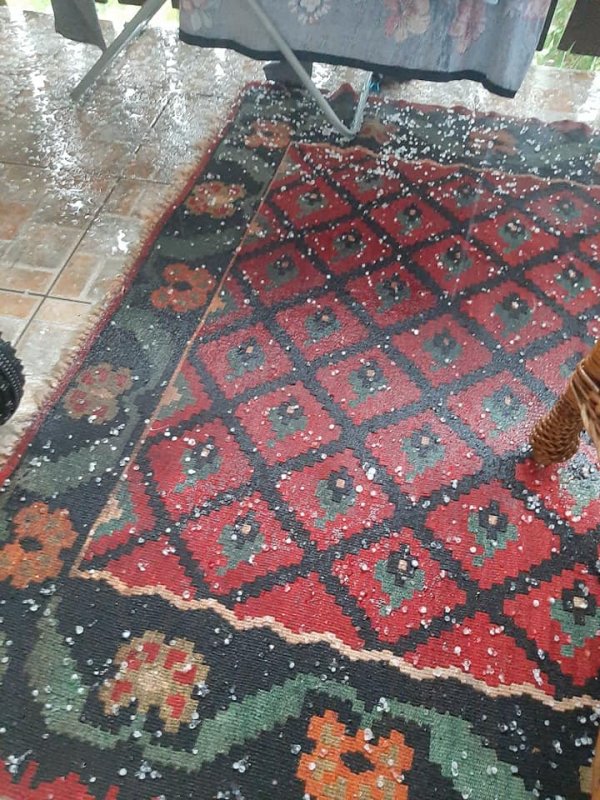 110233215-2516842385294292-1393188183791339597-n