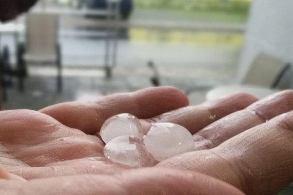 115912771-277609556676715-4725139578350553328-n