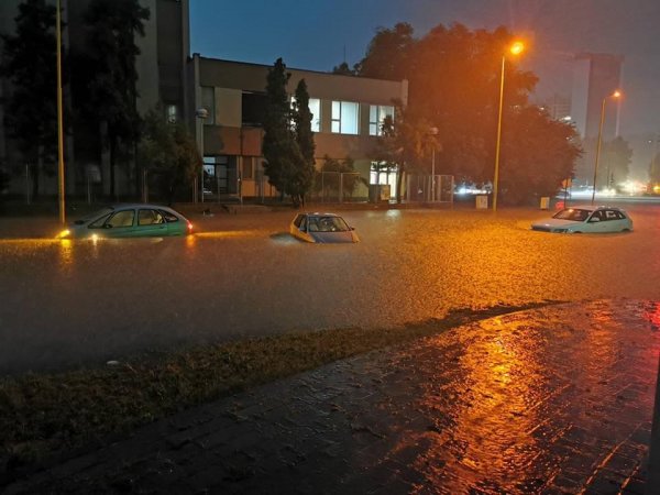 110320088-1588110764704974-5842637568575124570-n