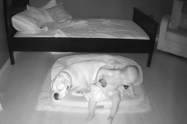 2284079-screenshot-1-ls