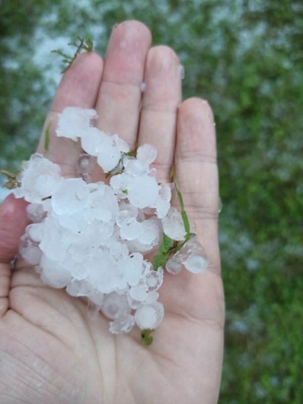 cc9f5080-cd8b-461d-afdb-19d40a7dd9a2