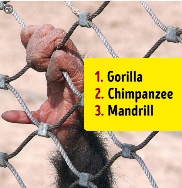 116203704-715159609335300-247888528353316946-n