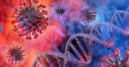 U Srbiji još 295 zaraza koronavirusom, devet osoba umrlo