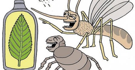 NEĆETE IH VIŠE VIDJETI: Samo dva sastojka i RIJEŠITE SE komarca i muha iz kuće 