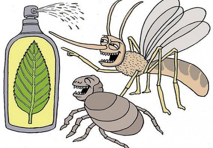 NEĆETE IH VIŠE VIDJETI: Samo dva sastojka i RIJEŠITE SE komarca i muha iz kuće 