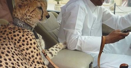 OVE STVARI SAMO U DUBAIJU MOŽETE VIDJETI: Ako mislite da je ovo čudno, ČEKAJTE SAMO DOK VIDITE BROJ 4 - PA OVO JE HIT!